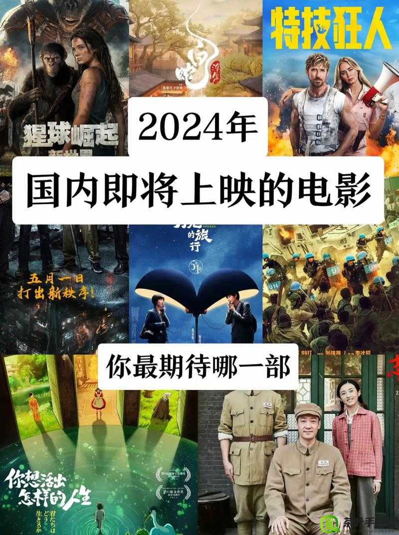 最好看的 2024 国语字幕电影之精彩不容错过系列推荐