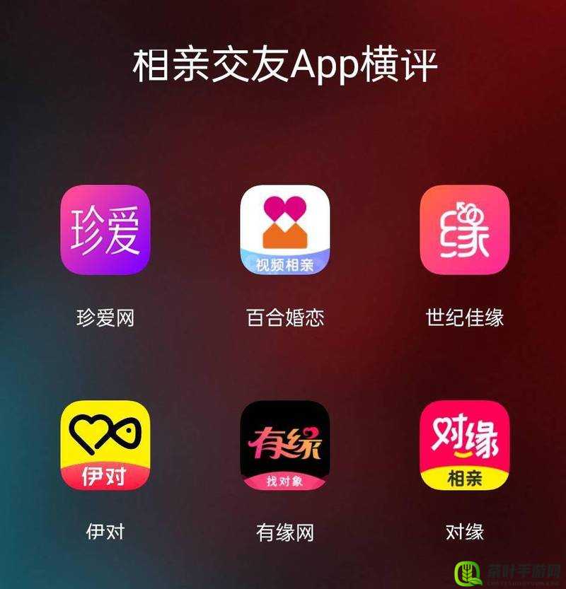 免费视频app交友软件哪个好：全面对比与深度解析