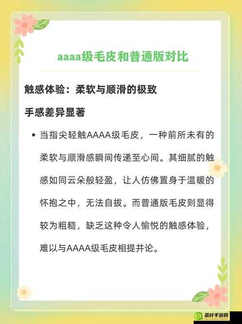 AAAA 级毛皮最简单处理方法全流程详细解析