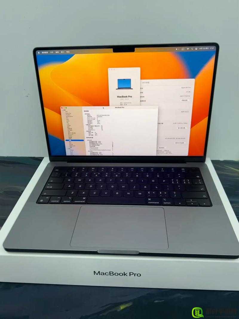 1316 岁 macbookpro 在线：经典与创新的完美结合