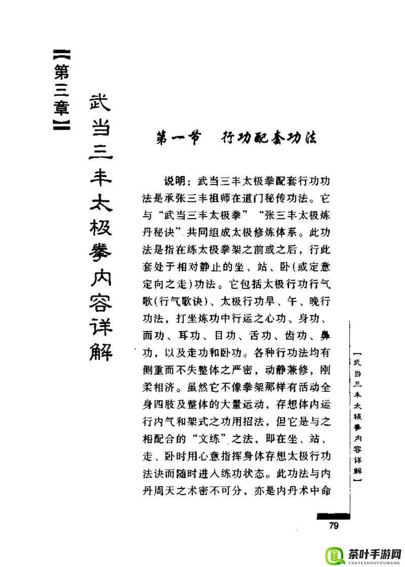 武当门派武学深度探秘，传承悠久历史精髓，创新中展现武学新风貌